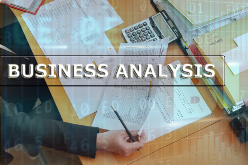 Business Analysis Service