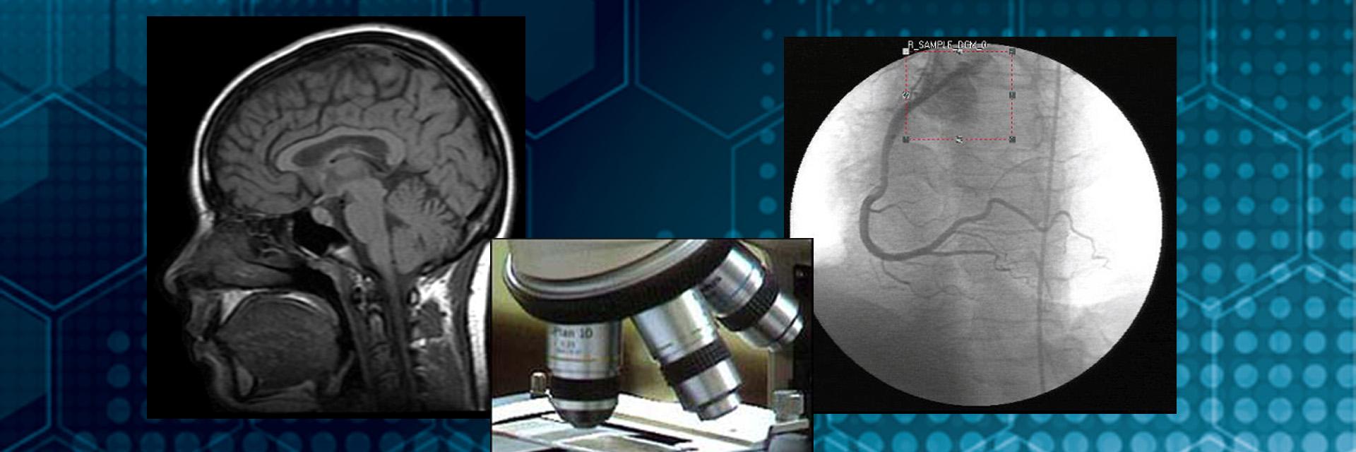 Expertise in clinical quality control