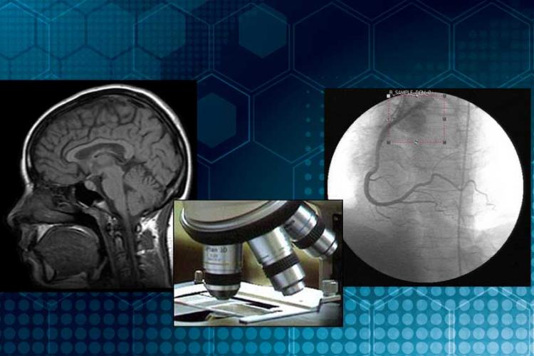 Expertise in clinical quality control