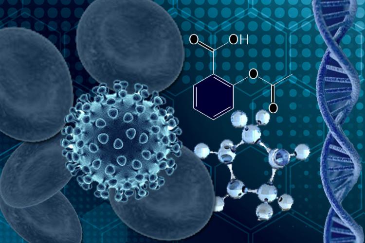 Expertise in basic science research